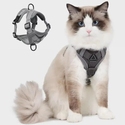 Cat Harness & Leash Set Adjustable Vest Reflective Mesh