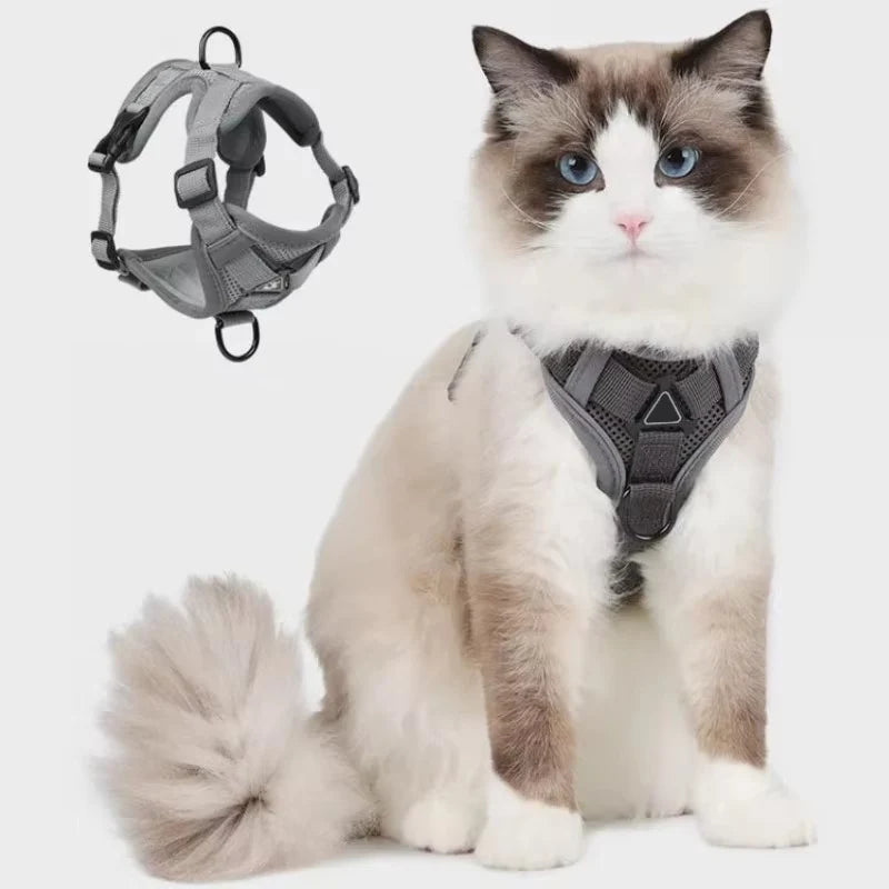 Cat Harness & Leash Set Adjustable Vest Reflective Mesh