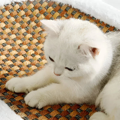 Cat Scratching Lounge Textured Surface & Cushioned Sleeping Area