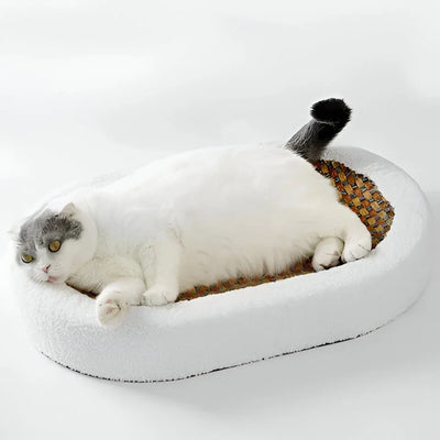 Cat Scratching Lounge Textured Surface & Cushioned Sleeping Area
