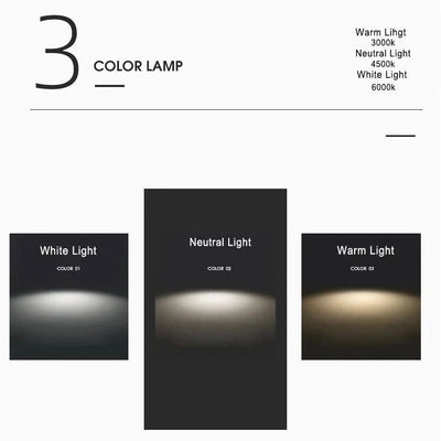 Ceiling Light Glass Globe & Wood-Grain Finish 3-Color Changeable