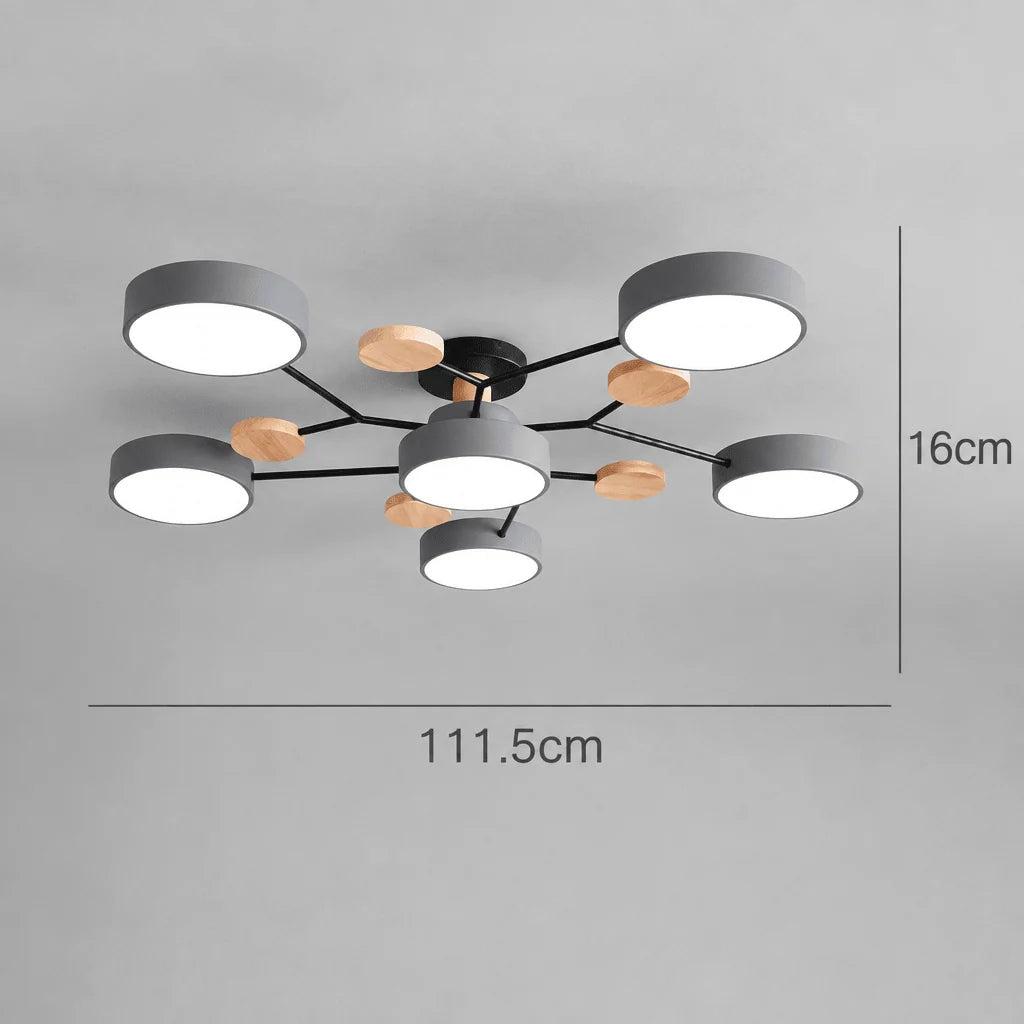Ceiling Light Round LED Replaceable Elements
