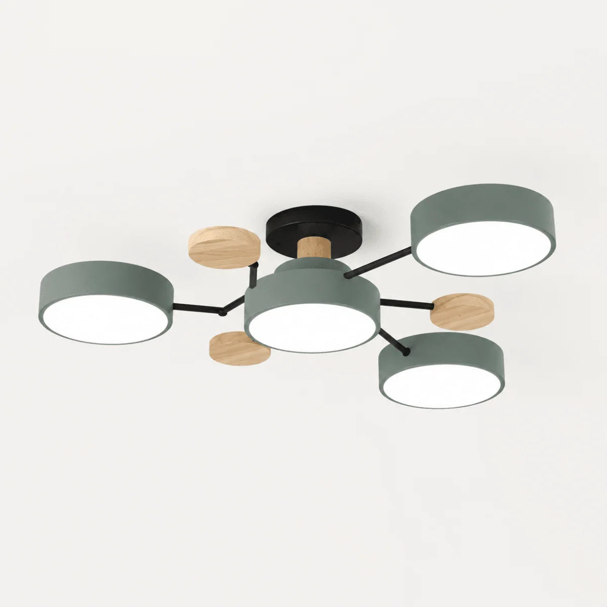 Ceiling Light Round LED Replaceable Elements