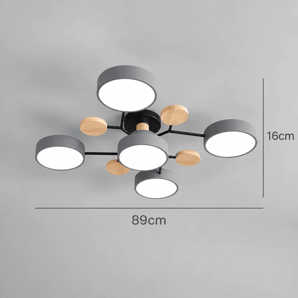 Ceiling Light Round LED Replaceable Elements