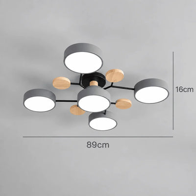 Ceiling Light Round LED Replaceable Elements