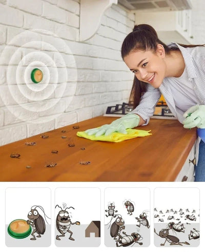 Cockroach Bait Stations Stick-On Adhesive Low Odor 12 Pack