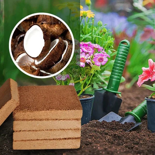 Coco Coir Block Compressed Water-Expandable, Natural Coconut Fiber