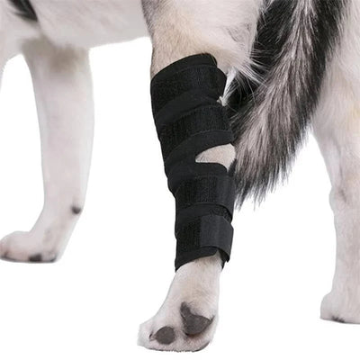 Dog Ankle Brace Neoprene Compression Reflective Strips