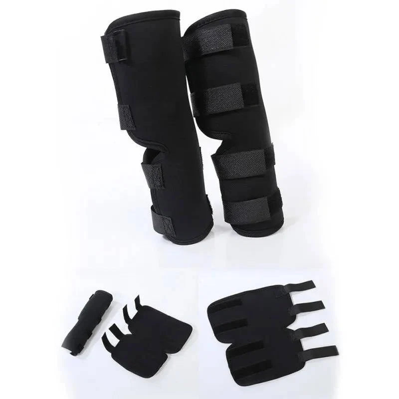 Dog Ankle Brace Neoprene Compression Reflective Strips