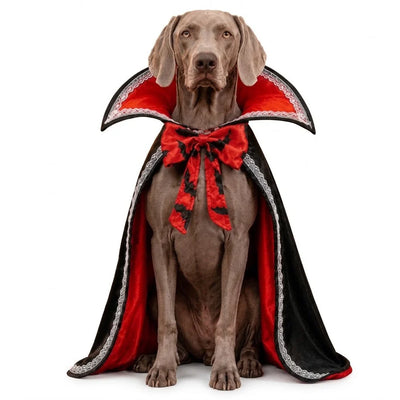 Dog Cape Stand-Up Collar Breathable Polyester & Adjustable Straps