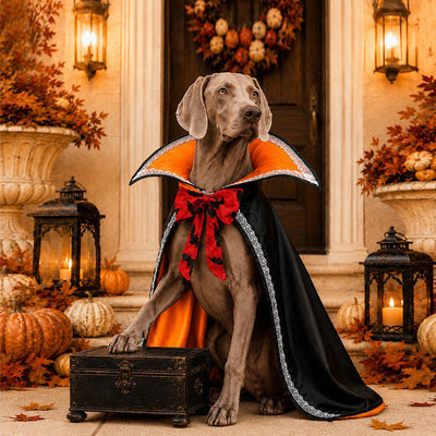 Dog Cape Stand-Up Collar Breathable Polyester & Adjustable Straps