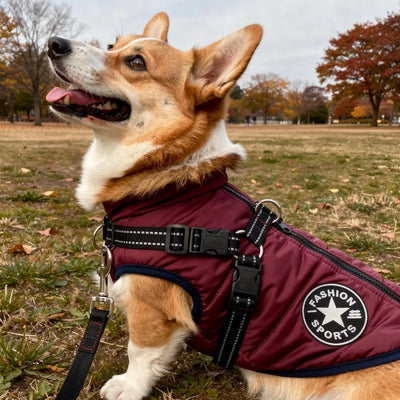 Dog Coat Integrated Harness Padded Thermal & Reflective