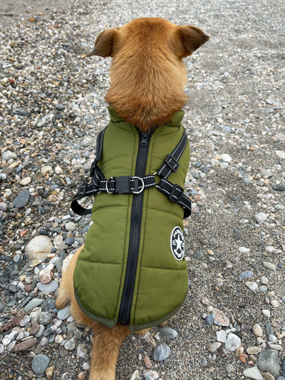 Dog Jacket Wind- & Water-Repellent Integrated Harness Reflective Strips