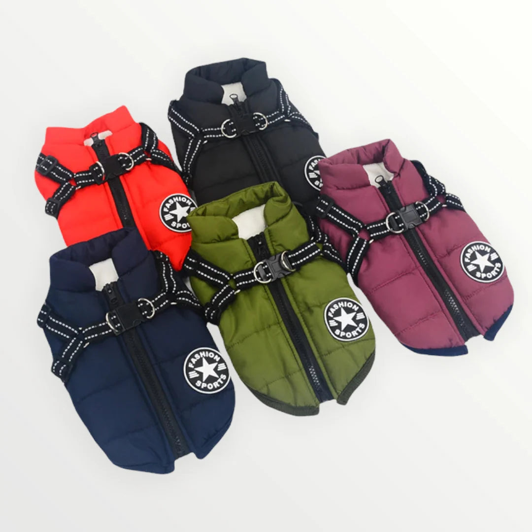 Dog Jacket Wind & Water-Repellent Integrated Harness Reflective Trim