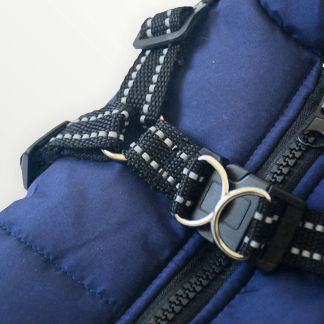 Dog Jacket Wind & Water-Repellent Integrated Harness Reflective Trim