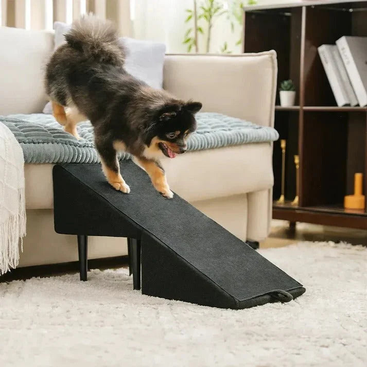 Dog Ramp Convertible Ramp & Steps 200 lb Capacity
