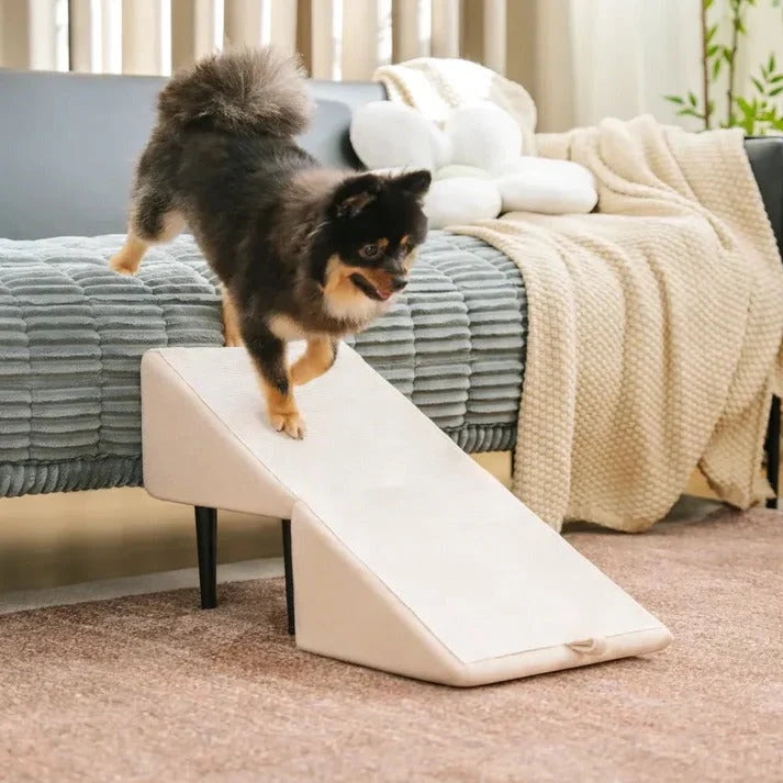 Dog Ramp Convertible Ramp & Steps 200 lb Capacity