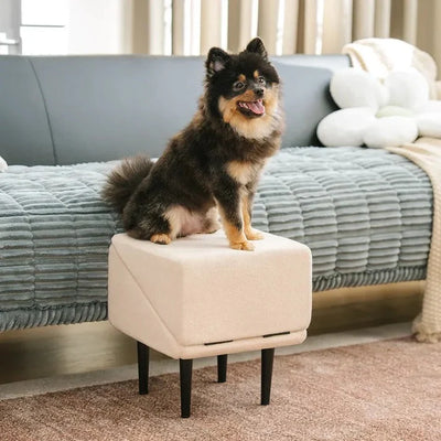 Dog Ramp Convertible Ramp & Steps 200 lb Capacity