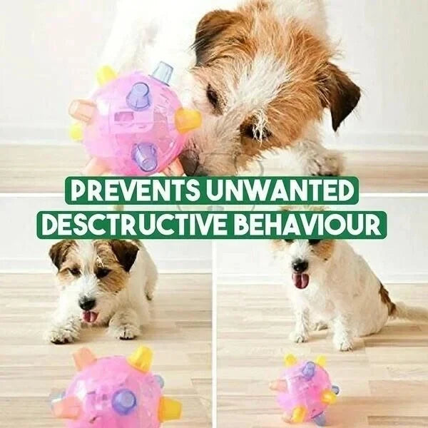 Dog Toy Touch-Activated Jumping Pet-Safe