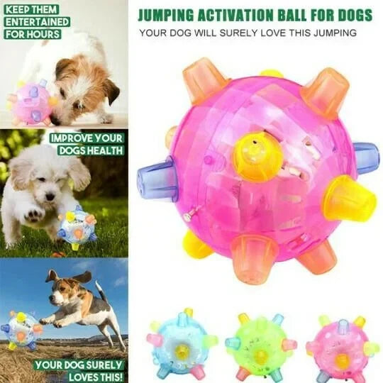 Dog Toy Touch-Activated Jumping Pet-Safe