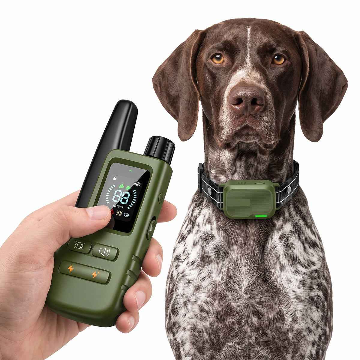 Dog Training Collar Dual-Channel Remote Waterproof 3,300 Ft Range