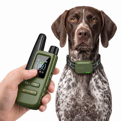 Dog Training Collar Dual-Channel Remote Waterproof 3,300 Ft Range