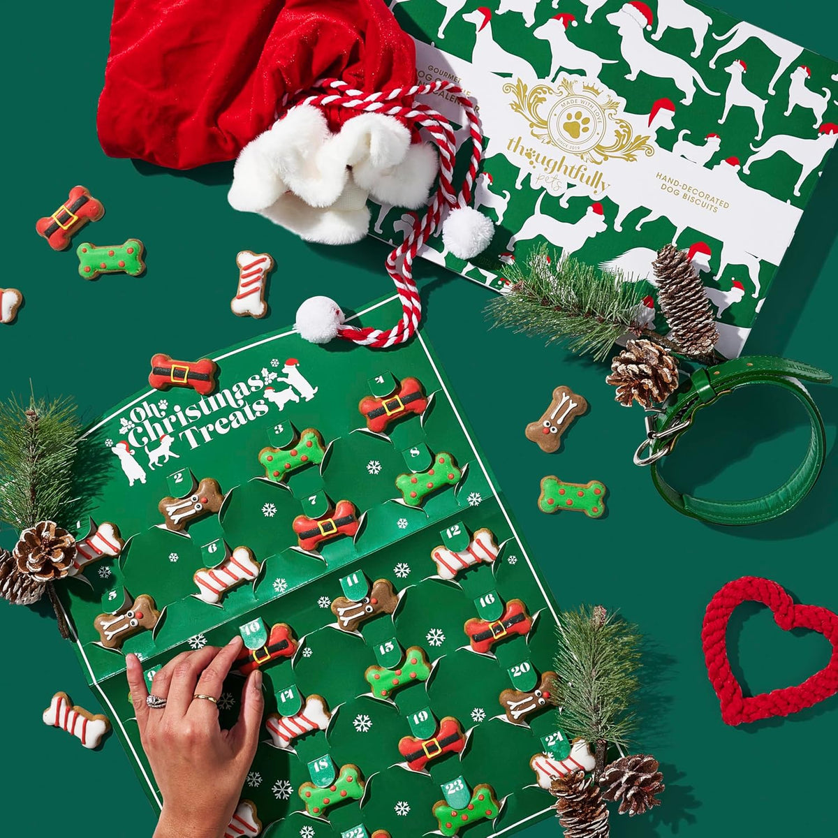 Dog Treat Advent Calendar 24 Gingerbread Biscuits Individually Wrapped