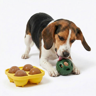 Dog Treat Ball Controlled Dispensing Natural Rubber