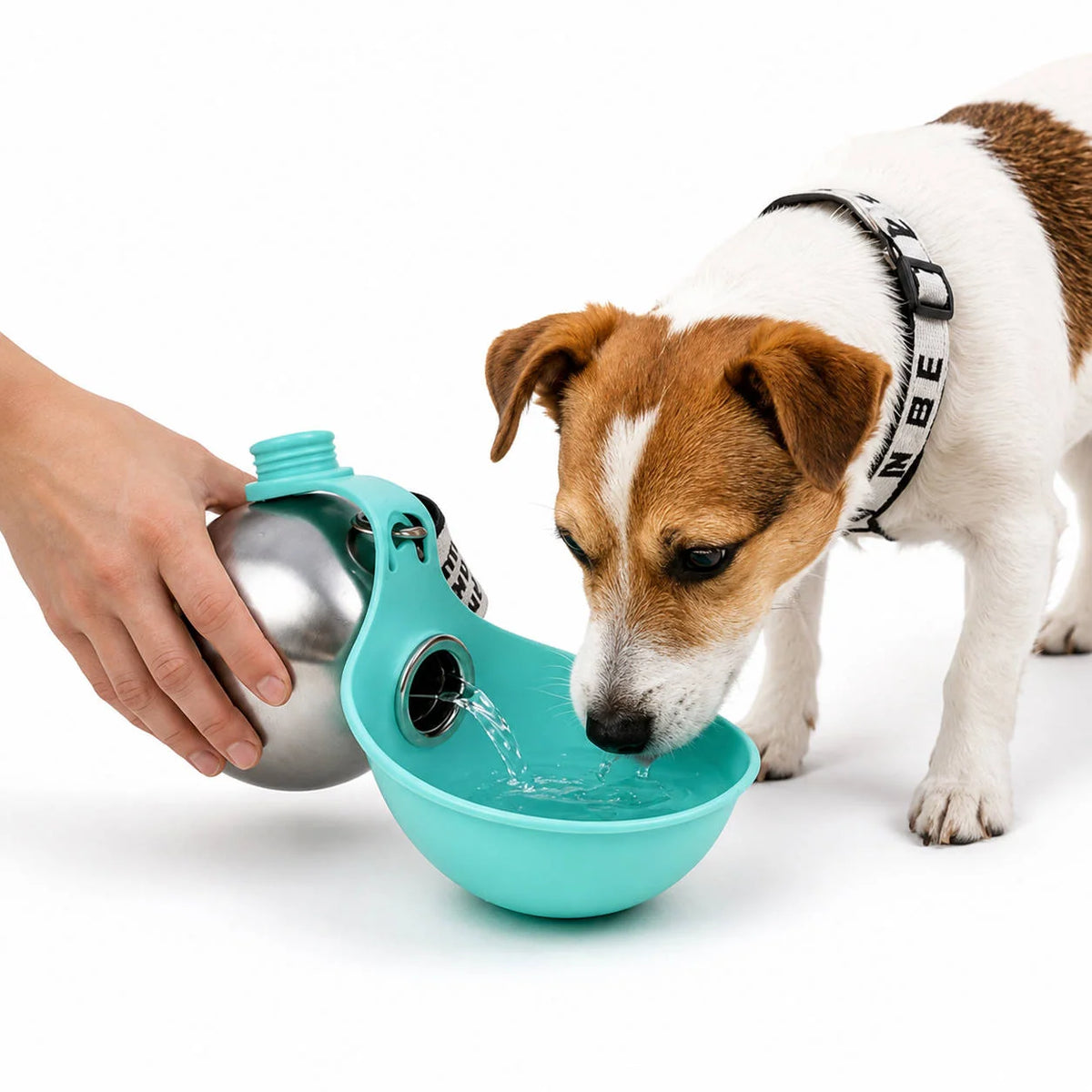 Dog Water Bottle Stainless Steel Foldable Bowl Leakproof