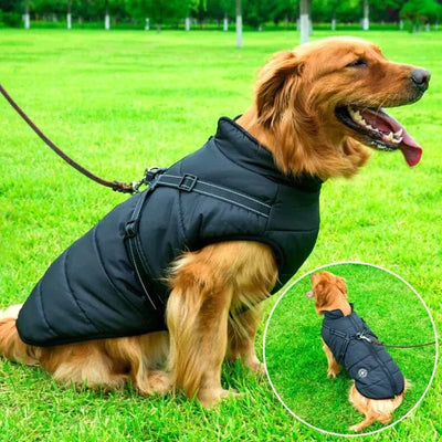 Dog Winter Jacket Waterproof Sherpa Lined Integrated Harness