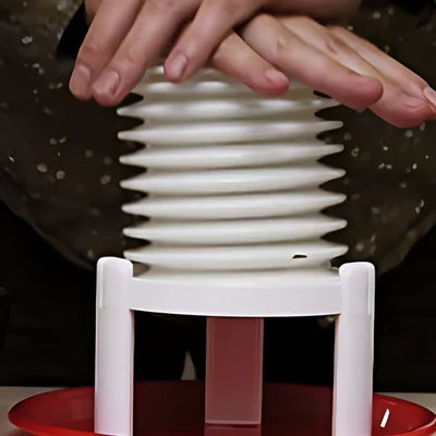 Egg Peeler Manual Press Compact & Portable