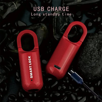 Fingerprint Padlock Keyless 0.2s Unlock Zinc Alloy