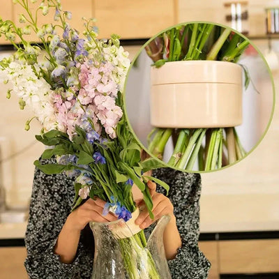 Flower Stem Holder Spiral Multi-Channel ABS-TPE Set of 2