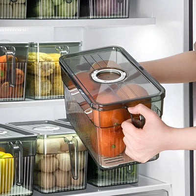 Fridge Storage Box Clear Walls & Ventilated Lid Stackable