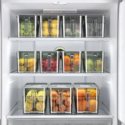 Fridge Storage Box Clear Walls & Ventilated Lid Stackable