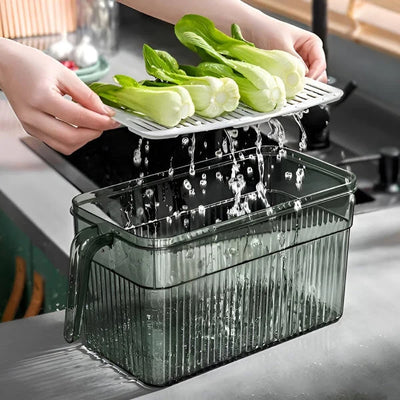 Fridge Storage Box Clear Walls & Ventilated Lid Stackable