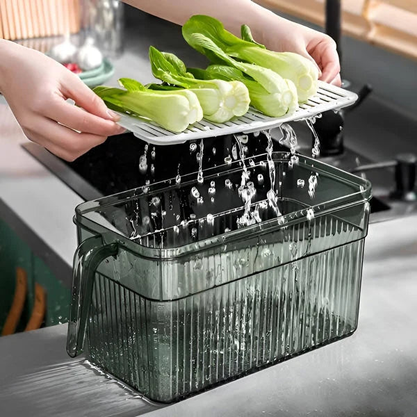 Fridge Storage Box Clear Walls & Ventilated Lid Stackable