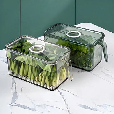 Fridge Storage Box Clear Walls & Ventilated Lid Stackable