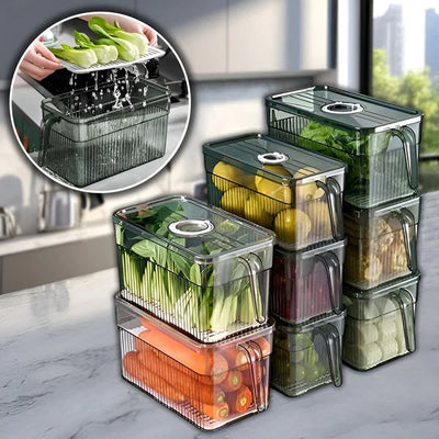 Fridge Storage Box Clear Walls & Ventilated Lid Stackable