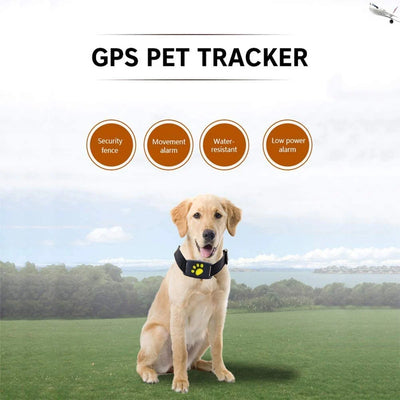 GPS Pet Collar Real-Time Tracking & Geofence Alerts