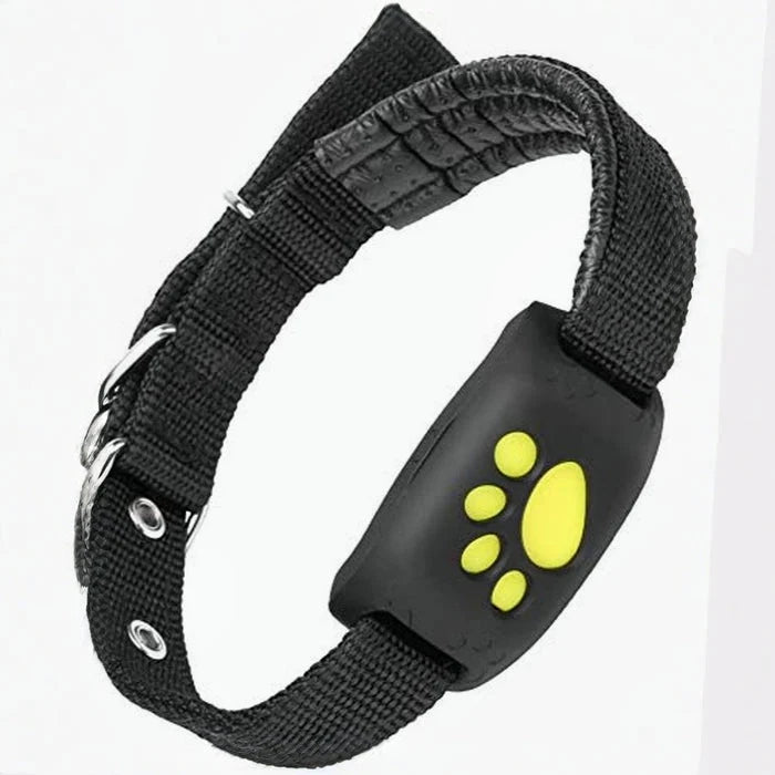 GPS Pet Collar Real-Time Tracking & Geofence Alerts