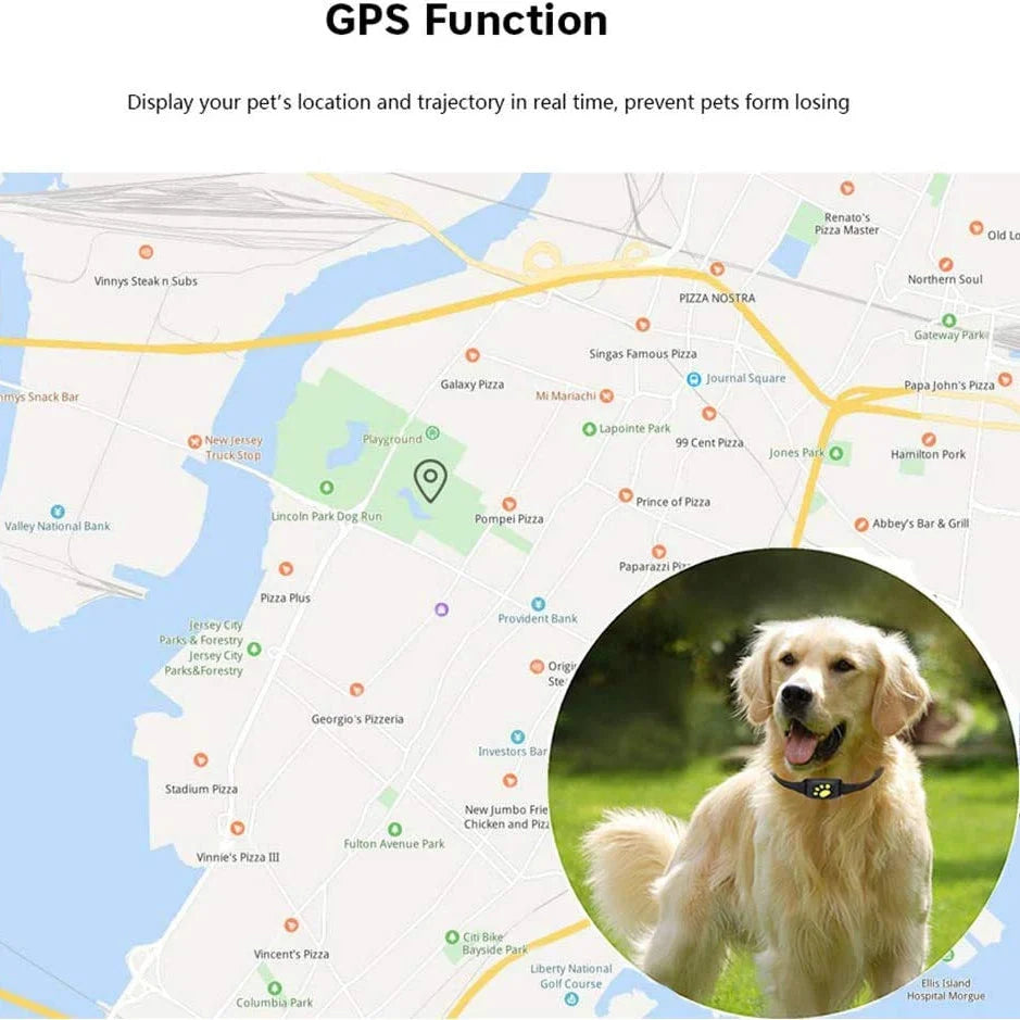 GPS Pet Collar Real-Time Tracking & Geofence Alerts