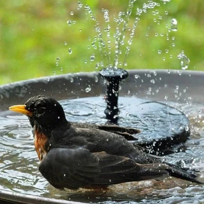 Garden Fountain Pump Solar Powered Built In Panel