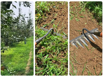 Garden Rake Ultra-Sharp Carbon Steel 4 To 7 Teeth