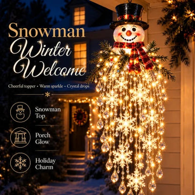 Hanging Christmas Lights Cascading LED Crystal Accents Battery-Powered