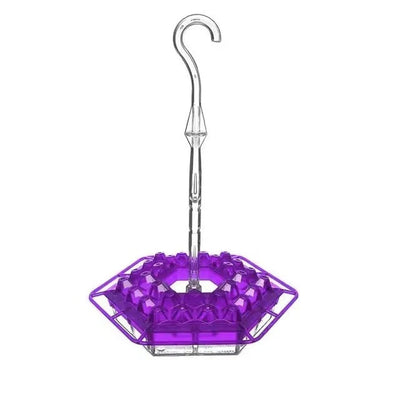 Hummingbird Feeder 30 Openings & Ant-Proof Water Moat