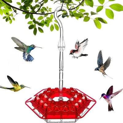 Hummingbird Feeder 30 Openings & Ant-Proof Water Moat