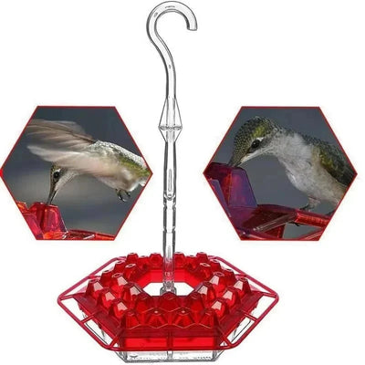 Hummingbird Feeder 30 Openings & Ant-Proof Water Moat