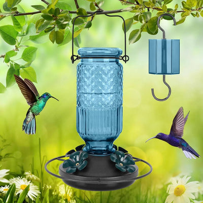 Hummingbird Feeder Glass Bottle Bee Guards & Ant Moat 16 Oz