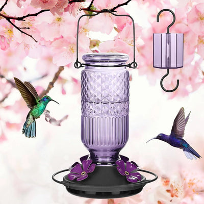 Hummingbird Feeder Glass Bottle Bee Guards & Ant Moat 16 Oz